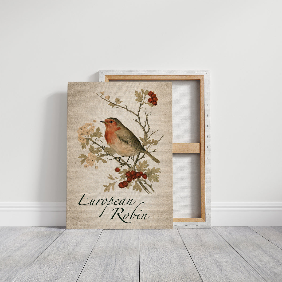 Robin the Hawthorn Blind