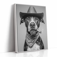 Outlaw With A Gentle Heart