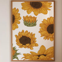 Desert Gold Meets Summer Stories