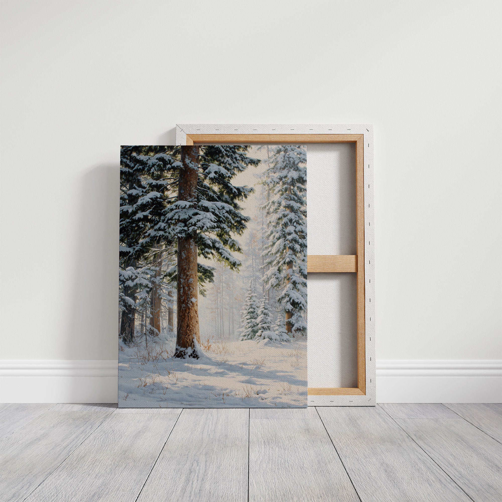 Snow Dusts Ancient Forest Paths