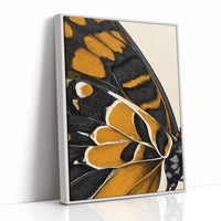 Amber Wings: Nature's Intricate Architecture