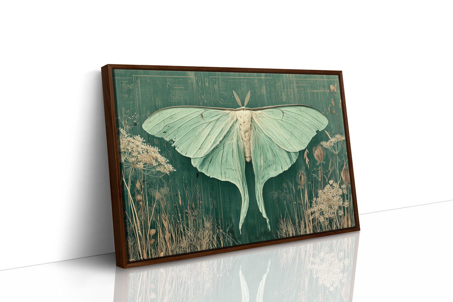 Luna Moth Among Wild Grasses