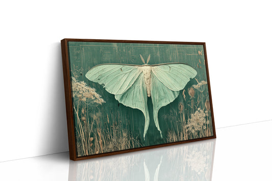 Luna Moth Among Wild Grasses