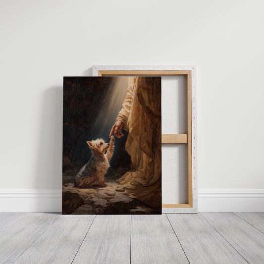 Faithful Companion Reaches For Light