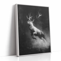 Antlers Through the Midnight Fog