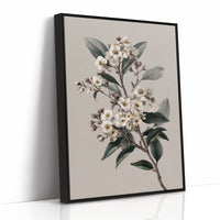 Ivory Blossoms On Quiet Branch