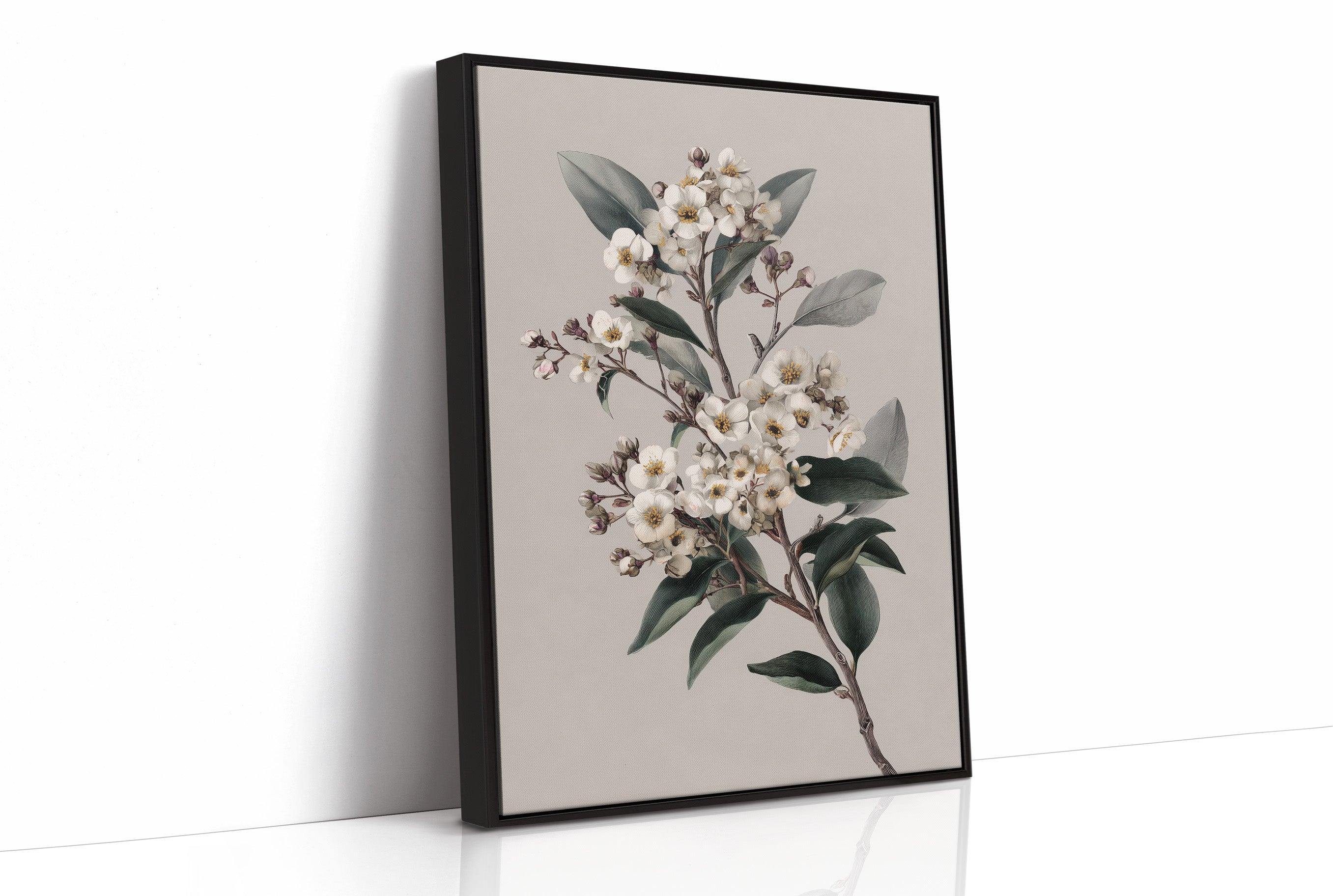 Ivory Blossoms On Quiet Branch