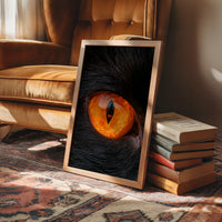 What the Cat's Eye Saw