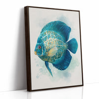 Sapphire Discus Whispers Secrets