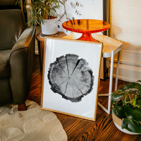 Textured Tree Ring Study