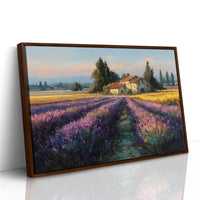 Provence Lavender at Golden Hour