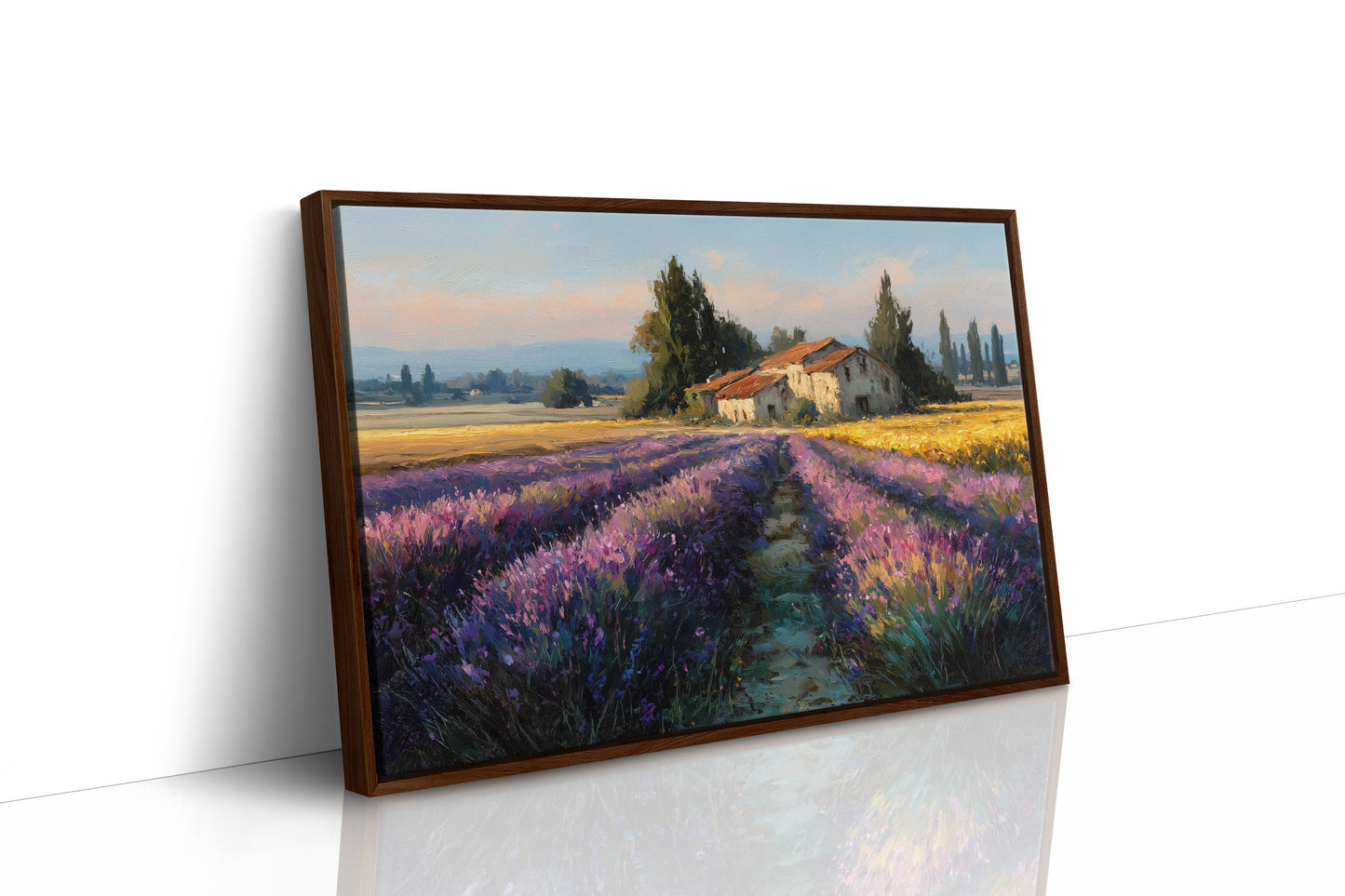 Provence Lavender at Golden Hour