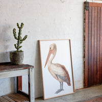 Beneath A Soft Feathered Gaze