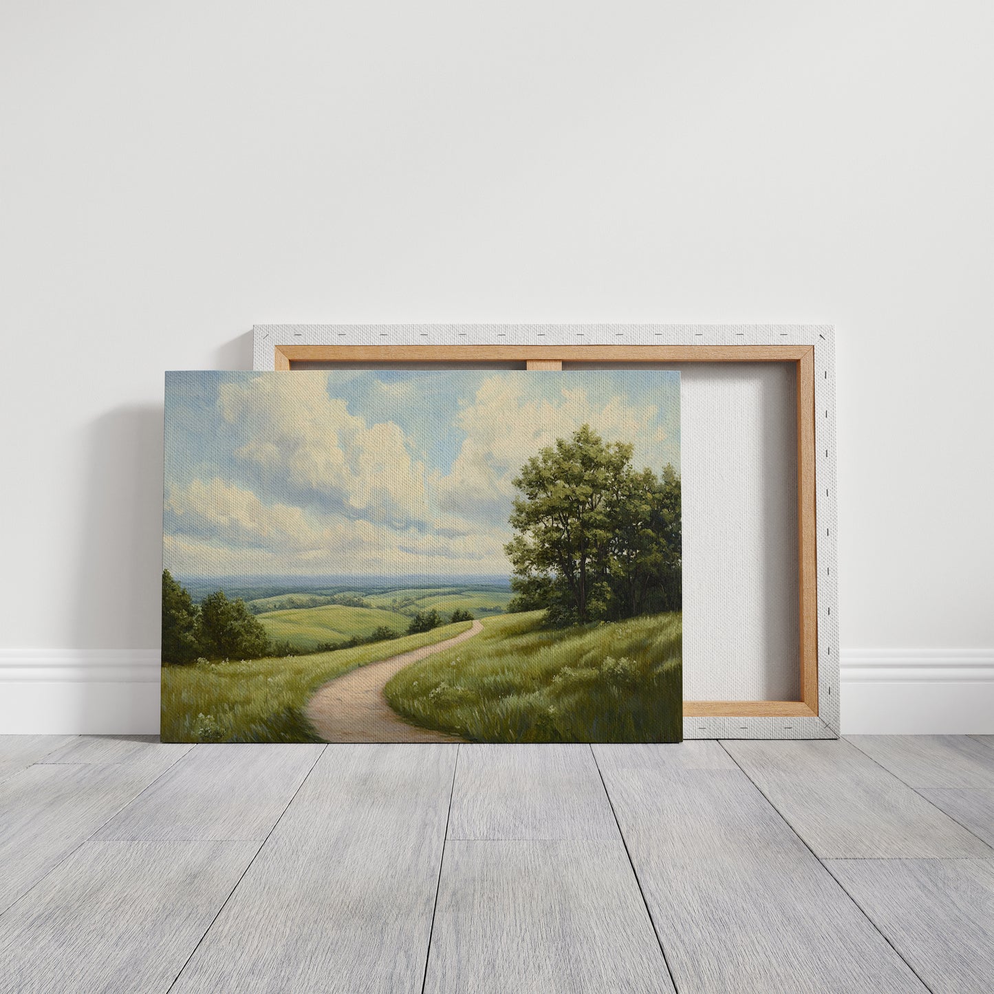 Summer Path Through Rolling Meadows