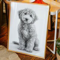 Curly Coat and Kind Eyes