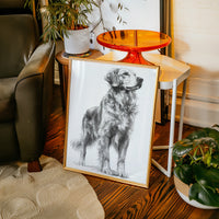 Noble Gaze of Loyalty