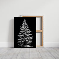 Silent Pine Stands In Midnight