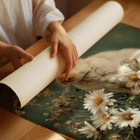 Soft Things Find the Quiet Spots