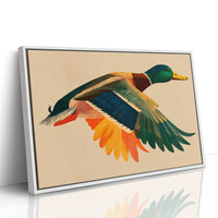 Mallard in Midair