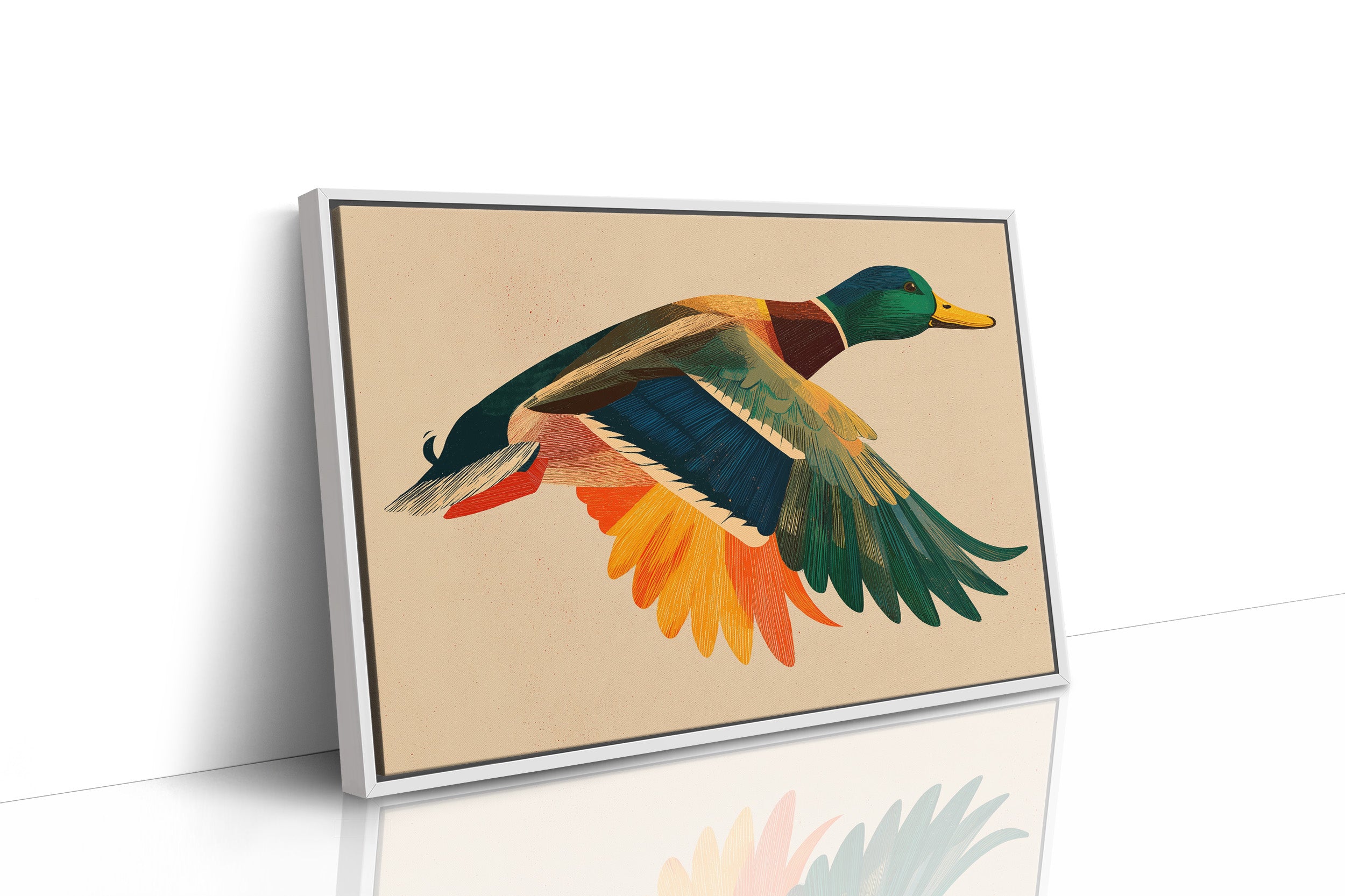 Mallard in Midair