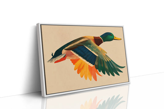 Mallard in Midair
