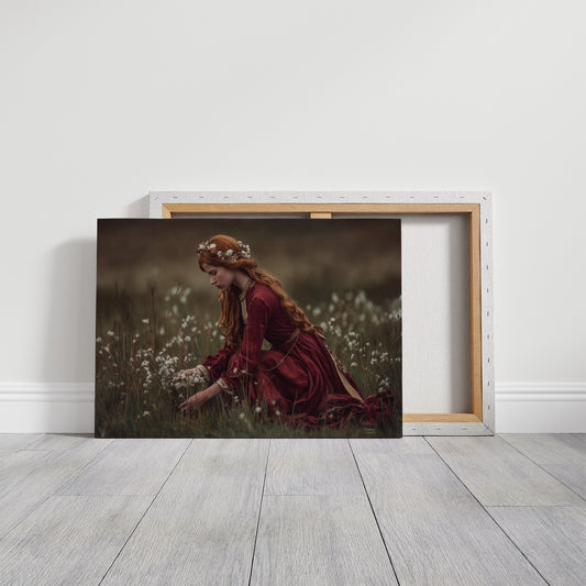 Stories Between Meadow And Memory