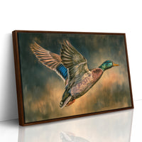 Mallard Takes Flight
