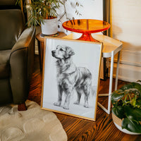 Guardian of Everyday Moments