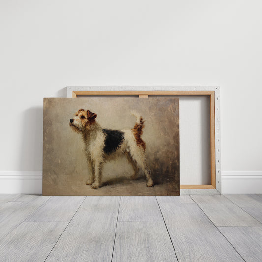 Noble Fox Terrier Stands Alert