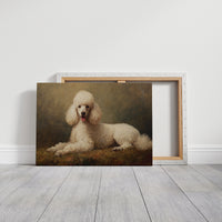 Noble Poodle Rests In Autumn Light