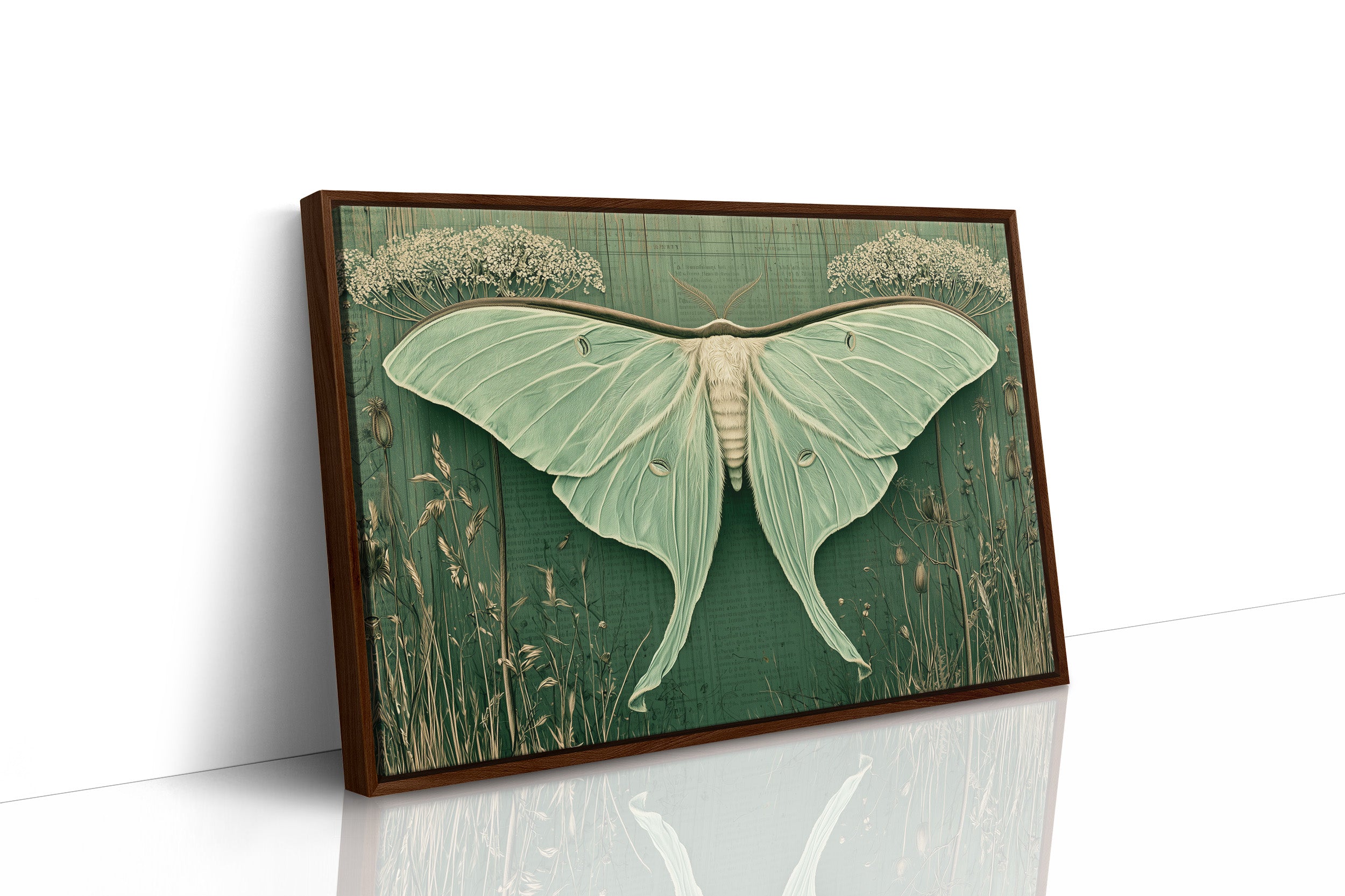 Luna Moth Ephemera