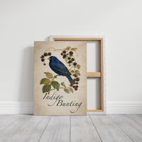 Bramble On, Blue Crooner