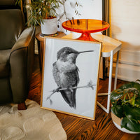The Stillness of Feathered Grace