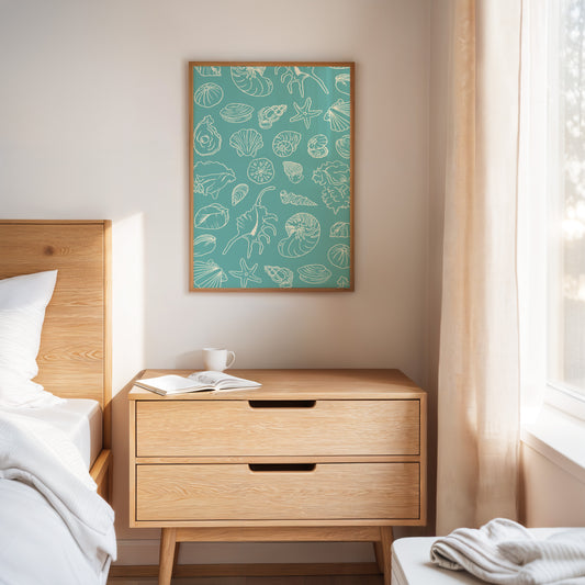 Seashells Draw Maps To Paradise
