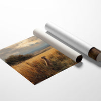 Faithful Friend Awaits The Horizon