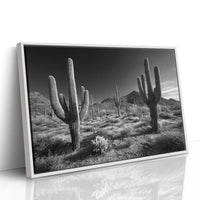 Sentinels of the Sonoran