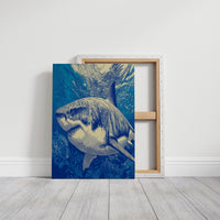 Shark Over the Reef