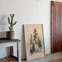 When Pines Stand Together