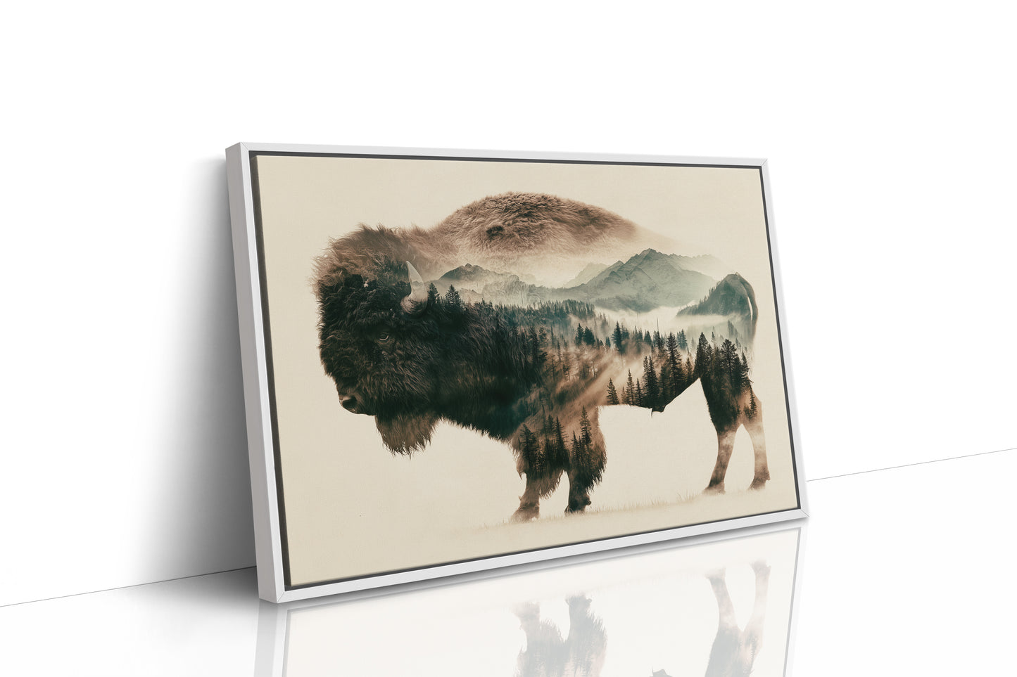 Where the Bison Roams