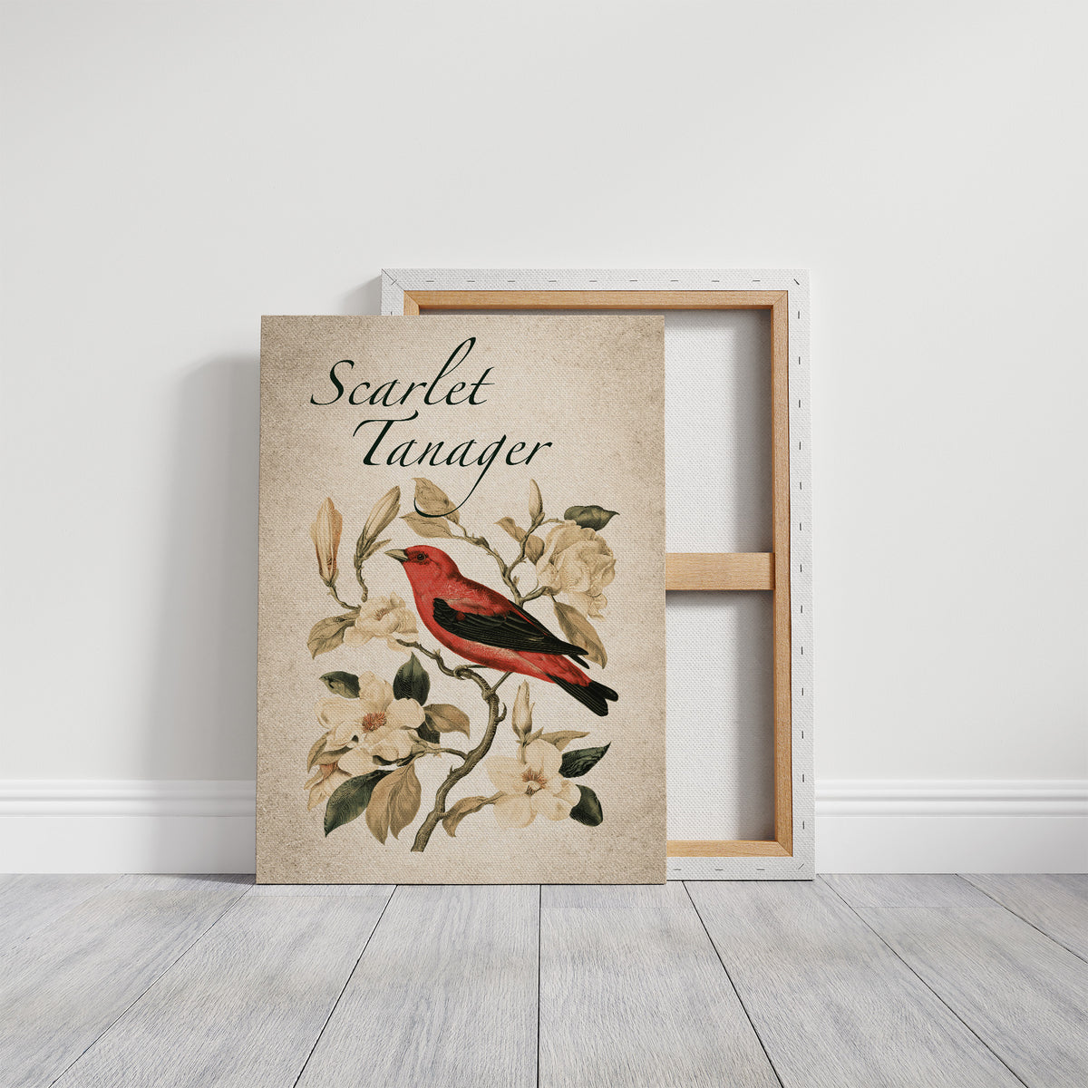 Scarlet Letter Among the Magnolias