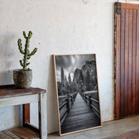Journey Through Timbered Paths