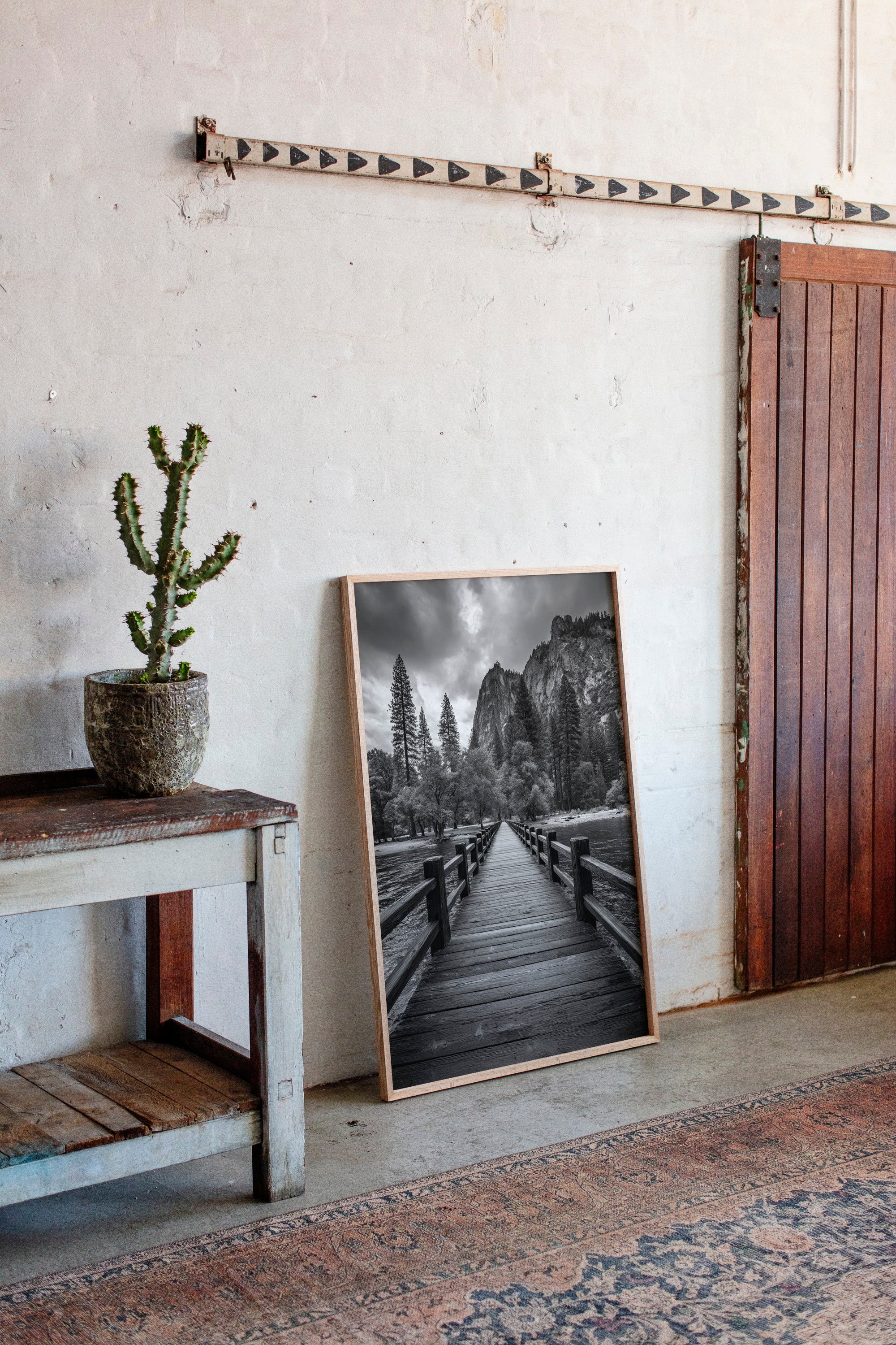 Journey Through Timbered Paths