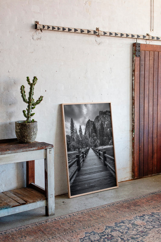 Journey Through Timbered Paths