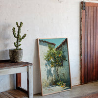 Oranges Beneath the Sunlit Wall