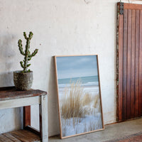 Tides That Kiss the Dunes