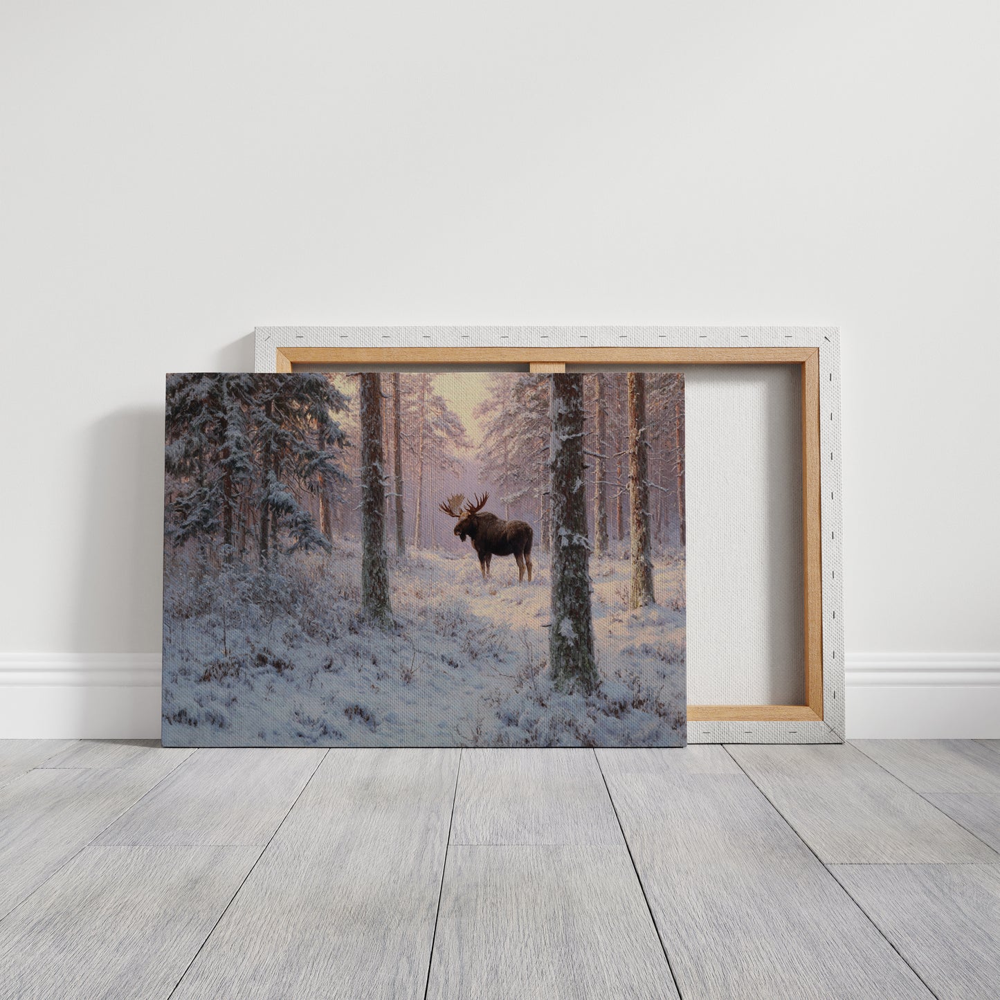 Winter's Light Finds Northern King