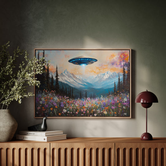 Cosmic Visitors Above Alpine Meadows