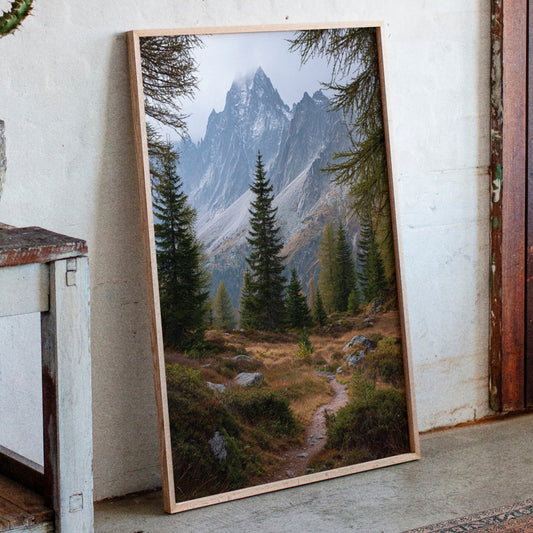 Through The Pines, A Journey Begins