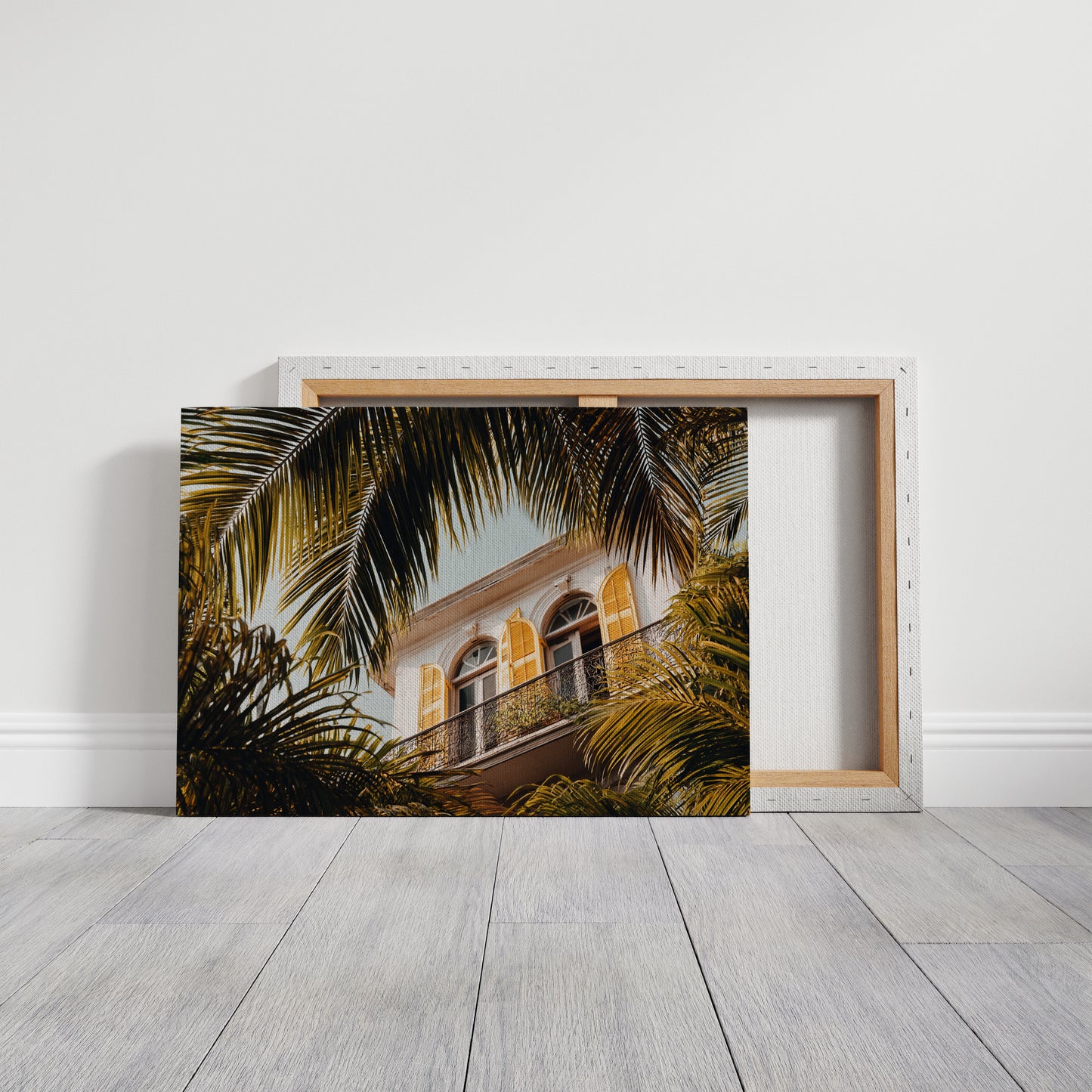 Golden Shutters Behind Palm Veils