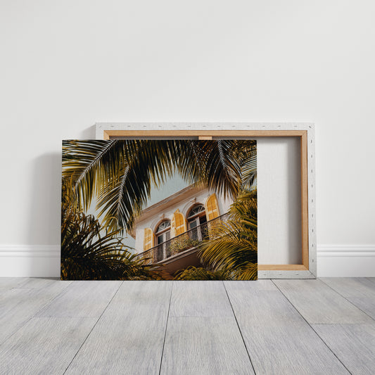 Golden Shutters Behind Palm Veils